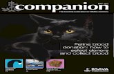Companion May2012