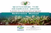 CEN Seagrass Manual