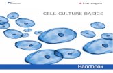 Cell Culture Basics (Life Technologies)