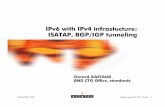 IPv6 With IPv4 Infrastructure ISATAP, BGP, IGP Tunneling