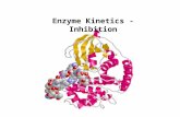 Enzyme Kinetics-Inhibition