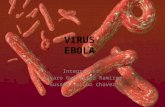 Virus Ebola (Presentacion)