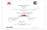18923792 Project on Apollo Tyres Ltd for PCR