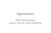 Optimization MATLAB Exercises