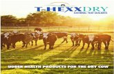 T-HEXX Dry Brochure