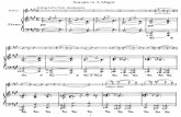 Cesar Franck - Sonata in a Major (Arr. Eugene Levinson), Piano