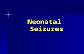 Neonatal Seizure