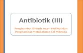 Antibiotik - Penghambat Sintesis Asam Nukleat