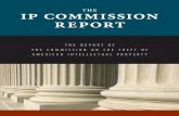 IP Commission Report 052213