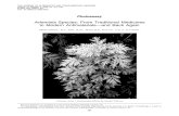 Artemisia Species_ From Traditional Medicines to Modern Antimalarials—and Back Again