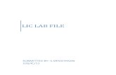 Lic Lab File