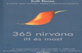 Josh Baran-365 Nirvana Itt Es Most
