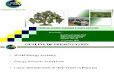 Alternate Energy Biodiesel