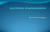 Sistem-Endokrin Lecture New