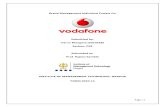 Vodafone Brand Management