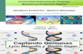 Captando Genomas_Fuentes, D Maidana, M.