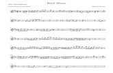 Birdlike Solo Transcription (Miguel Zenon) - Alto Saxophone