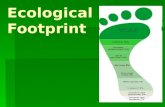 Ecological Footprint Pp