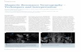 Mr Neurography Techniques Interpretation-00277343