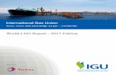 IGU World LNG Report 2013