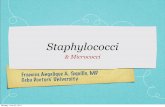 Staphylococci microbiology
