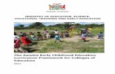 The Zambia Early Childhood Education Curriculum Framework for Colleges of Education -Final Draft