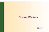 Cricket Wickets Manual Final