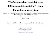 Constructive Bloodbath in Indonesia - Nathaniel Mehr