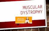 Muscular Dystrophy Power Point Presentations