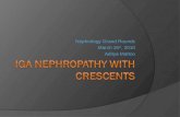 Crescentic IgA Nephropathy[1][1]