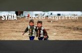 Syria - Forced Migration