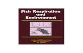 Fish Respiration and Environment