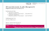 Practicum Lab Report-Updated