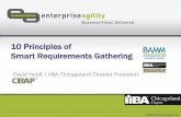 10 Principles of Smart Requirements Gathering v1