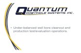 Quantum Presentation for SPE Lloydminster