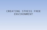 Creating Stress Free Environment