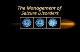 Seizure Disorders Lecture