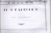 Voisin - 11 Studies