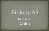 138469052 Edexcel as Level Biology Revision Powerpoint Unit 1