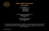 Atlas of Microstructures