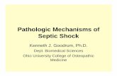 83590013 PPT Patofisiologi Septic Shock
