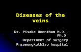 34493078 Diseases of Veins