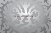 Panama Property Rivage