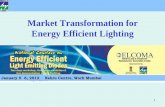 BEE Market Transformation for EE Lighting