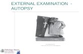 External Examination at Autopsy
