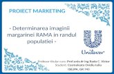 Marketing Unilever Rama 2003