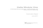 117033 Delta Module One Report June 2011