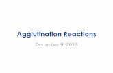 Agglutination Reactions