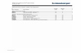 Schlumberger ESP Catalog PDF