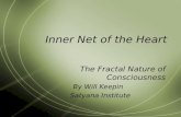 Inner Net of Heart for OUC